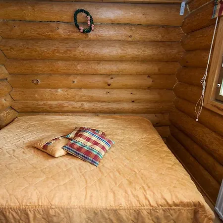 Hegulinkota A Visit 公寓 列维