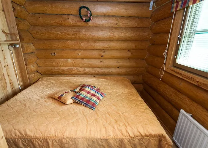 Hegulinkota A Visit 公寓 列维